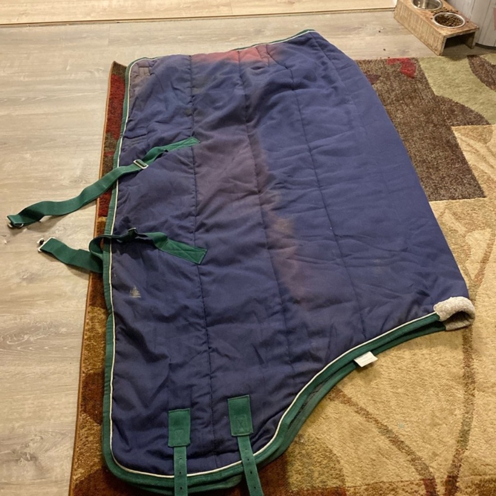 Blue and Green Pet Blanket